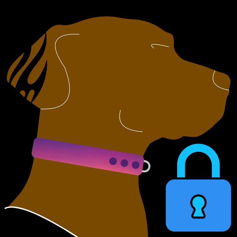 Avery's VPN logo: Avery in a pink collar next to a blue padlock