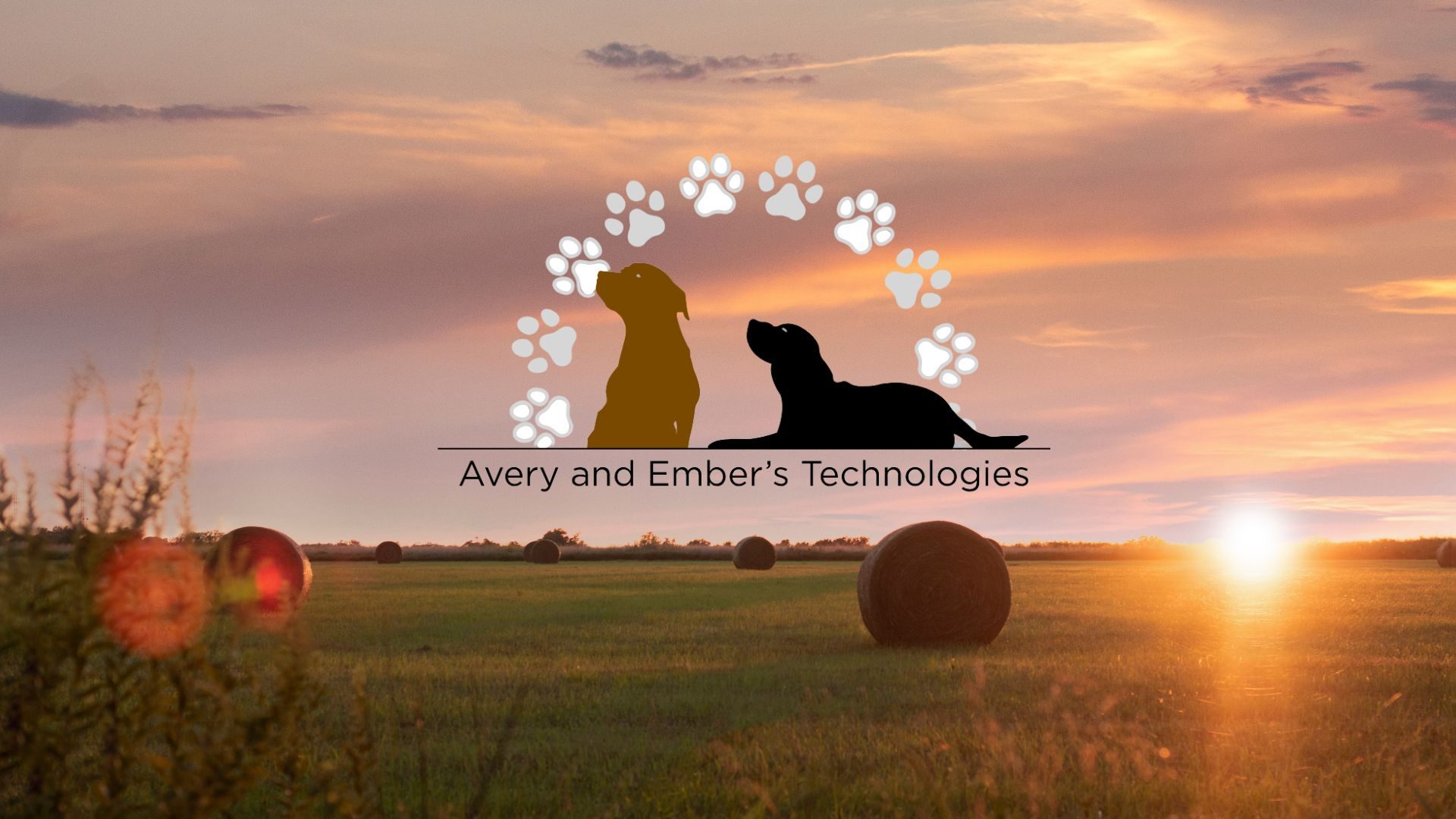 The Avery and Ember's Technologies logo, with Avery and Ember under an arch of paw prints, over a sunset hay field
